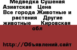 Медведка Сушеная Азиатская › Цена ­ 1 400 - Все города Животные и растения » Другие животные   . Кировская обл.